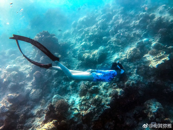 母其弥雅泳装大秀一字马 网友:真运动女神