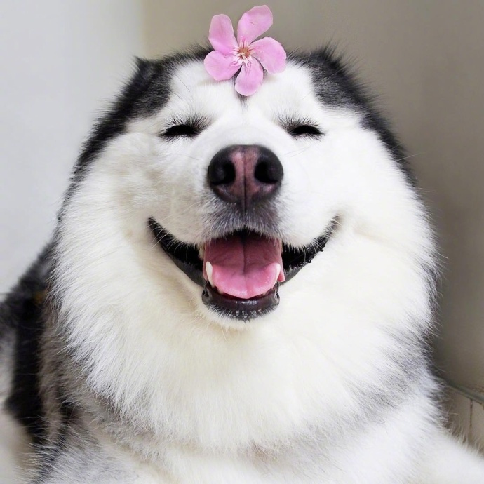 一定要笑 不管多失望