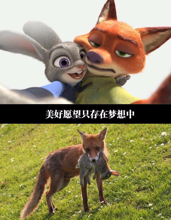 笑话段子搞笑图片:一夜暴富又有了新技巧!