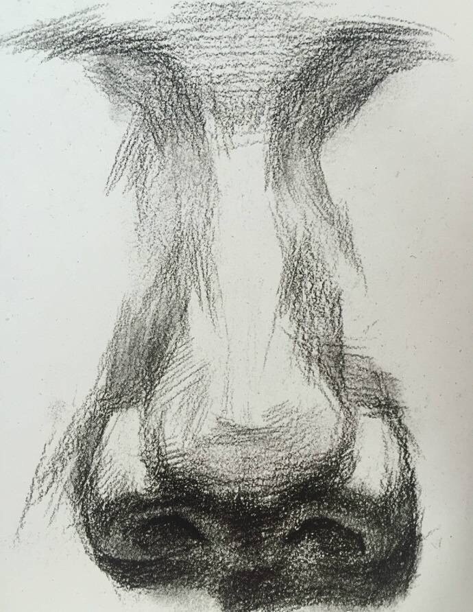 素描眼睛,鼻子,嘴巴你会画么|速写|于萍|色彩_新浪新闻