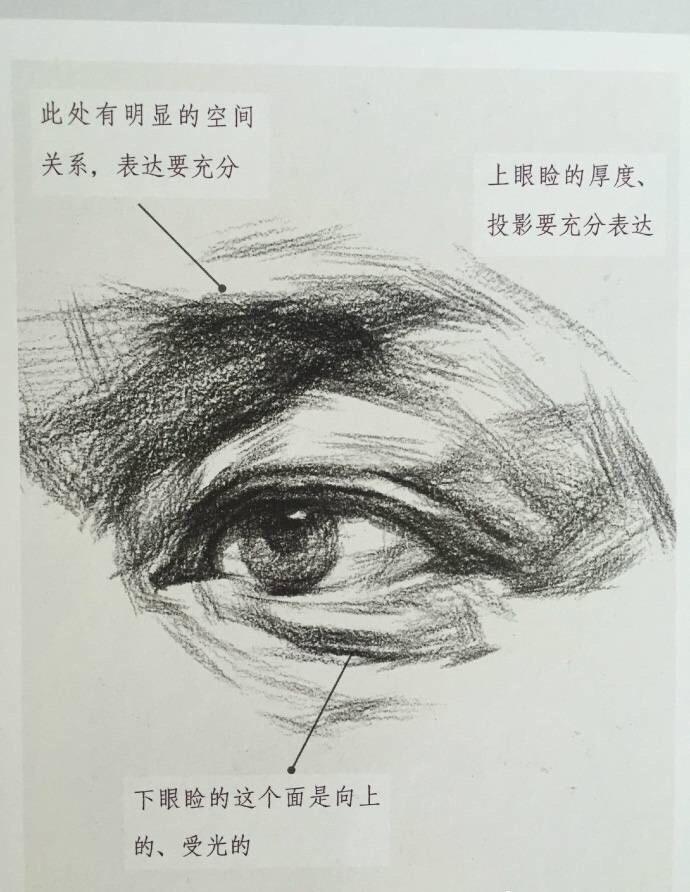 素描眼睛,鼻子,嘴巴你会画么