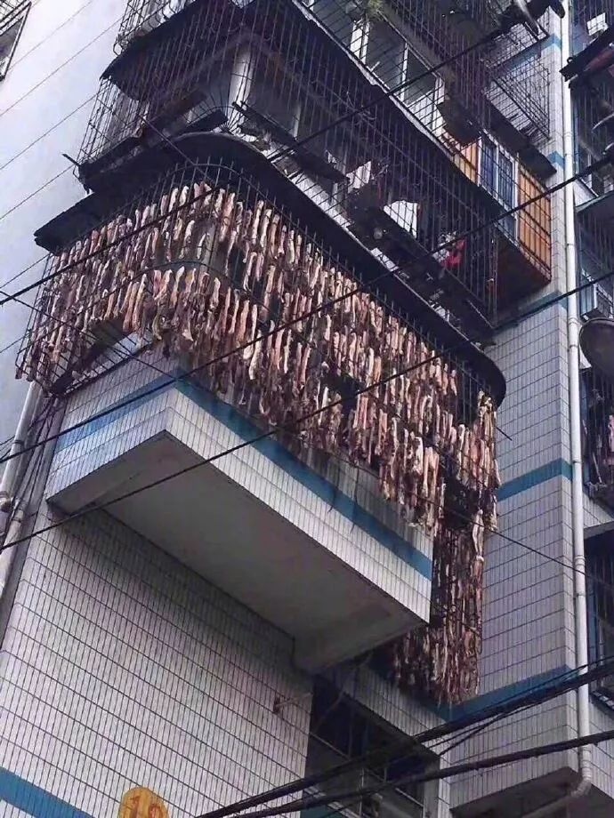 “南方大户”的操作震惊了北方人！四川人露出迷之微笑：小意思！
