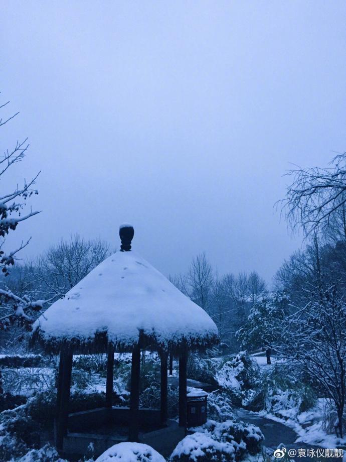 47岁袁咏仪跑到杭州看雪,双眼皮感觉像刀割的