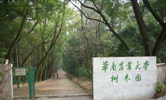 广州也有一个树木园,是一所大学最美的地方