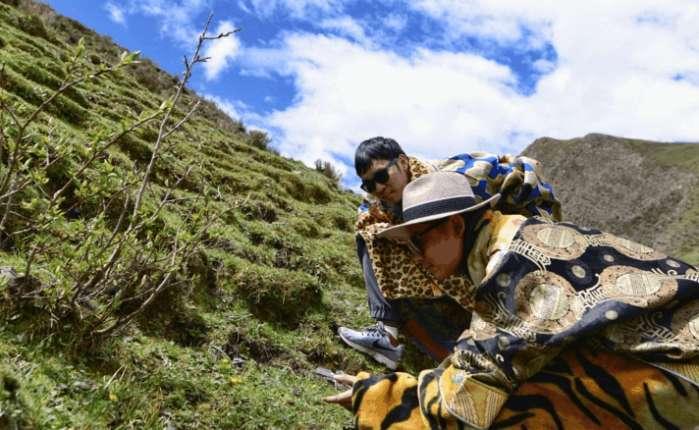 实拍西藏那曲冬虫夏草挖掘过程: 一天最多二三十根, 甚至空手而归