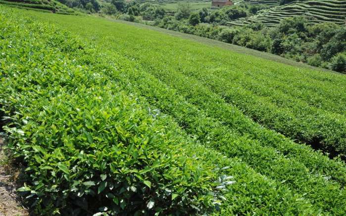 安农大这专业全国第一,永远不愁就业!待遇比北