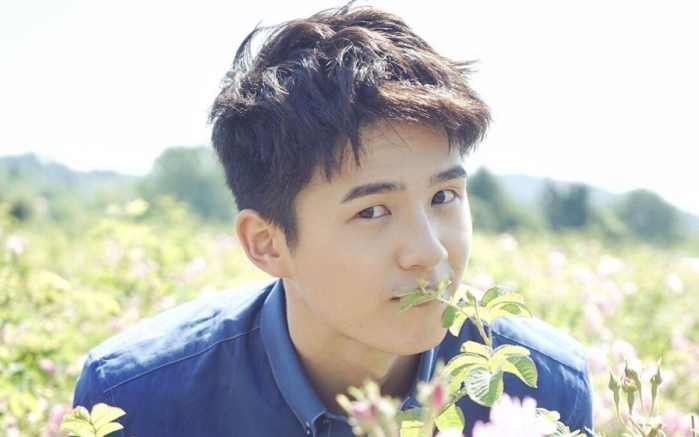 公司唯一艺人、执掌主角皆为刘昊然,他为何能