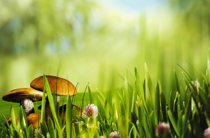 与领导相处的四个基本原则,学会了,领导才会高