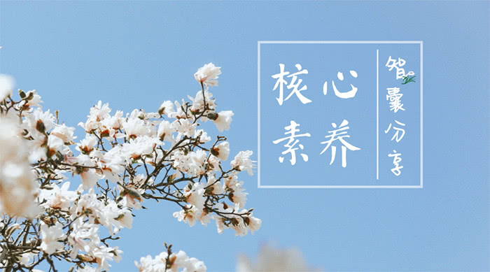 核心素养并没有"核心"