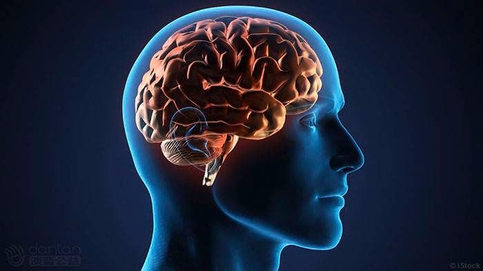 科学家发现，直接刺激杏仁核可以提高记忆力