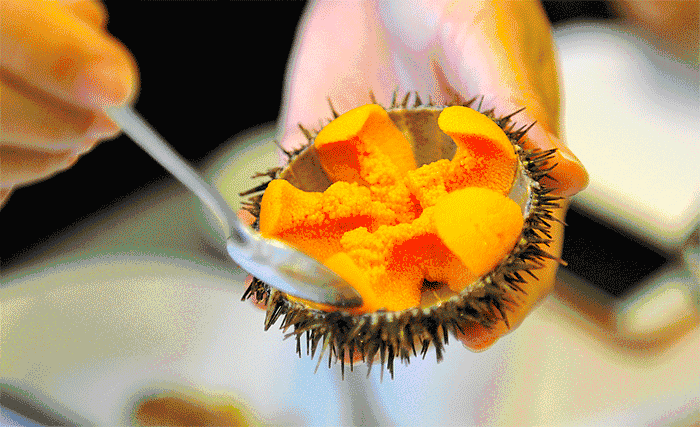 出入这个国家时携带的东西一定要记得申报,否则面临罚款或监禁!