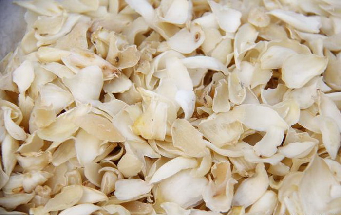 食用百合种植技术