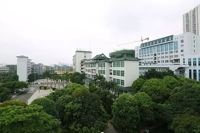 正文           右江民族医学院,学校占地面积112.