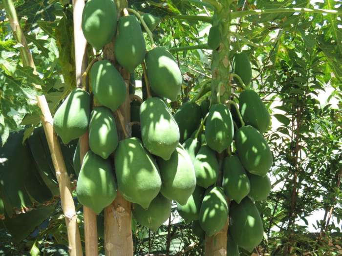 中国人在非洲务工, 普通人家的生活水平看的人