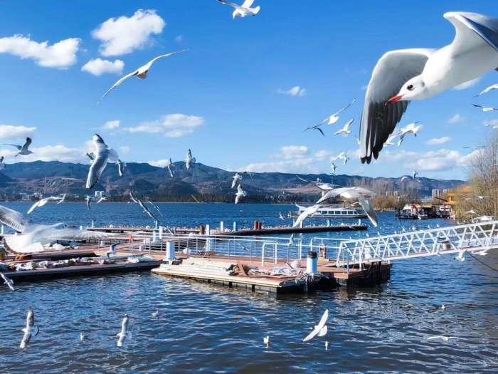 为什么云南大理丽江西双版纳名气大, 昆明吸引