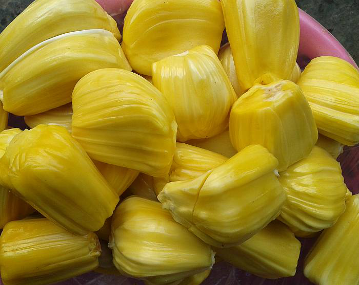 这些水果糖分太高,血糖高的人一口都不能吃,不