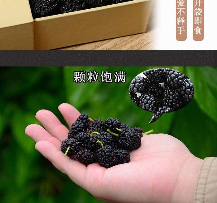 请问黑桑葚和枸杞可以每天泡水喝吗? 有什么效