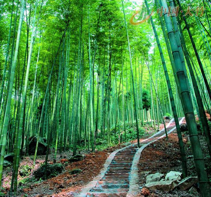 漖兽说美景, 2018假期四川达州旅游必去十大旅