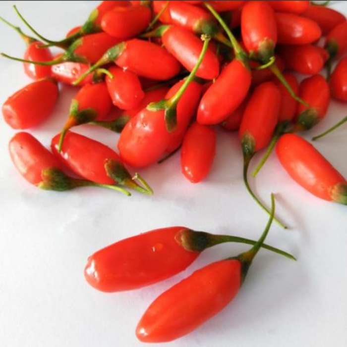 黑枸杞好还是红枸杞好? 两者功效有什么不同