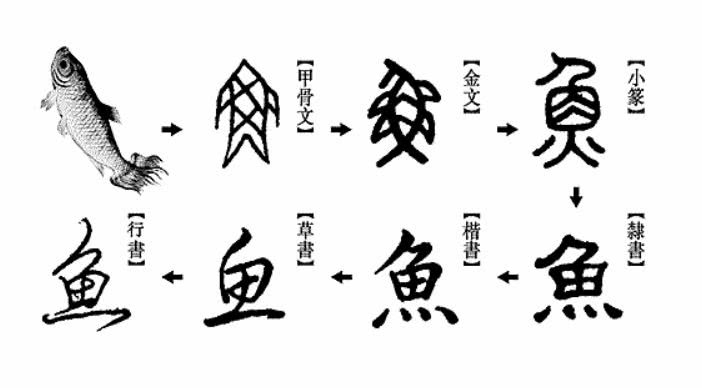 非常渺小不值一提的成语是什么_白带是什么图片