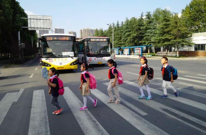 遇公交车礼让行人 小学生排队敬礼