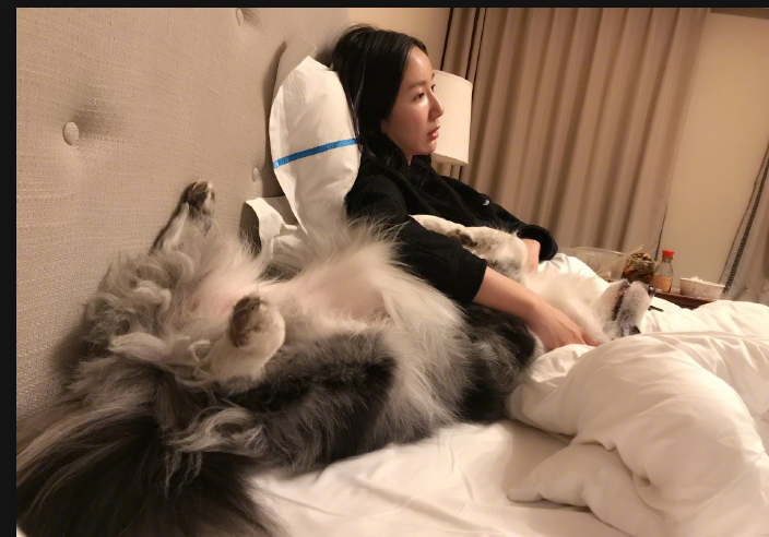 娄艺潇不工作的日子在家躺着看片撸狗外卖心情美美的宅着