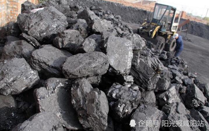 长青集团与国信证券调研：生物质燃料、碳市场和未来展望解析