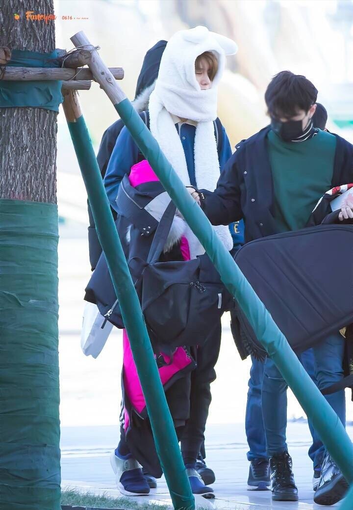 范丞丞爆料朱正廷粉丝叫猪妖,自己最爱粉丝名