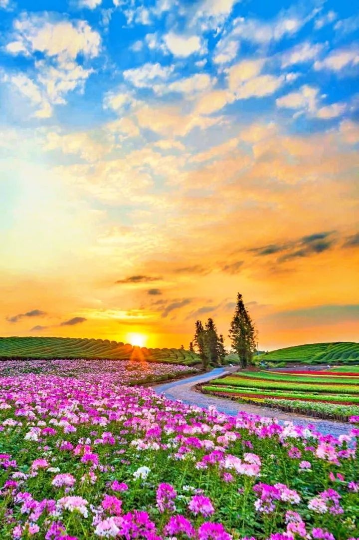 金华15个赏花胜地入选省最美赏花胜地名单!别负春光,约起!