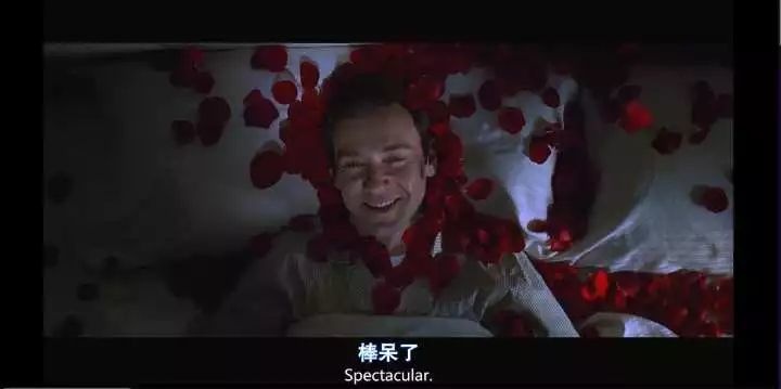 秒杀国产青春剧的爱尔兰校园电影:青春不会逝