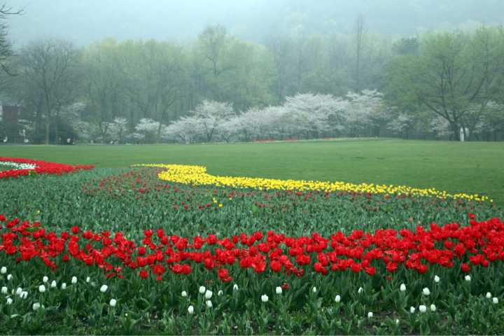 为什么杭州西湖节假日人山人海,平时却不淡不