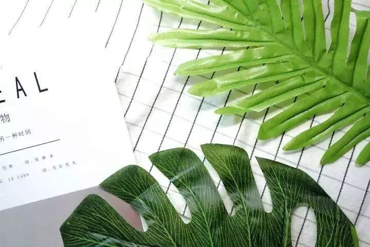 你需要这套ins风拍照大法!