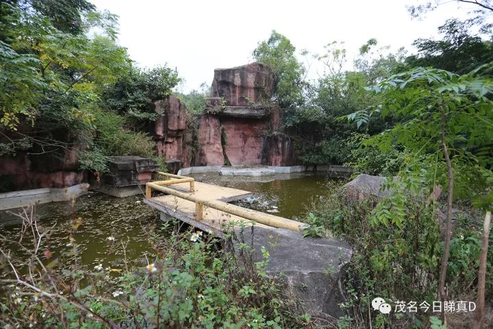 电白虎头山景区，曾经风光一时，现在变成了这样？即将大变身！