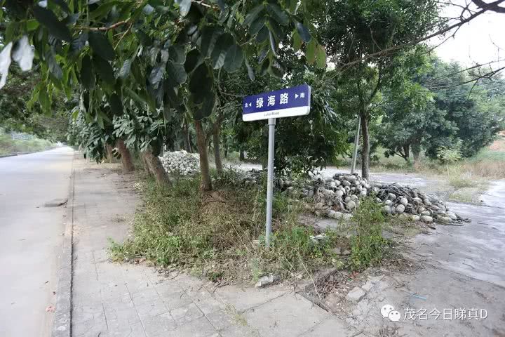 电白虎头山景区，曾经风光一时，现在变成了这样？即将大变身！