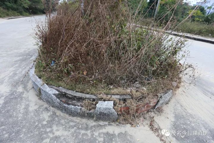 电白虎头山景区，曾经风光一时，现在变成了这样？即将大变身！