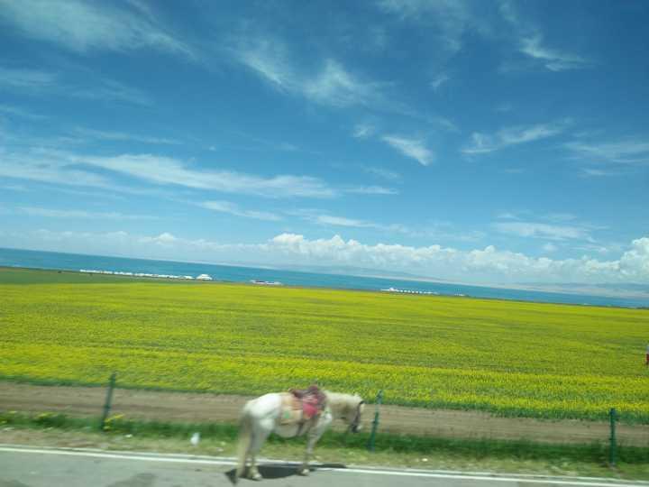 2018考研专业课: 论述题答题攻略