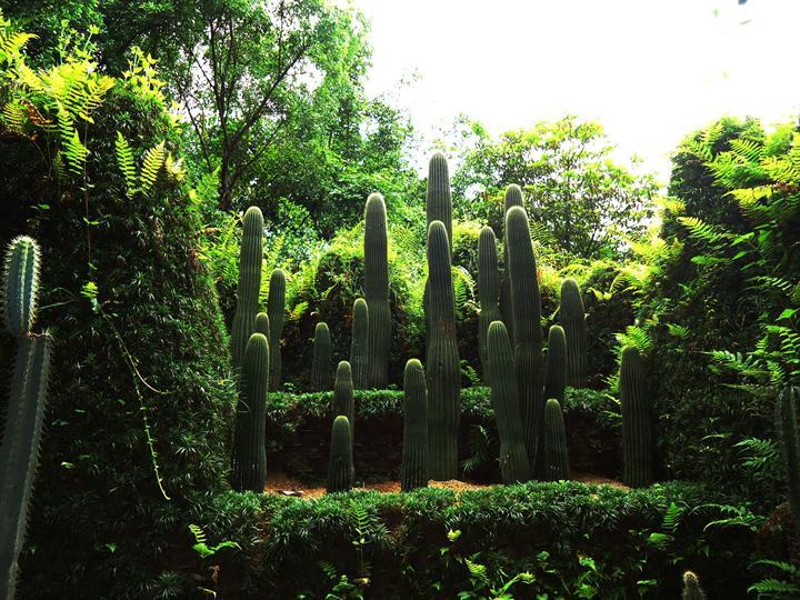中山市最大的农业生态观光园