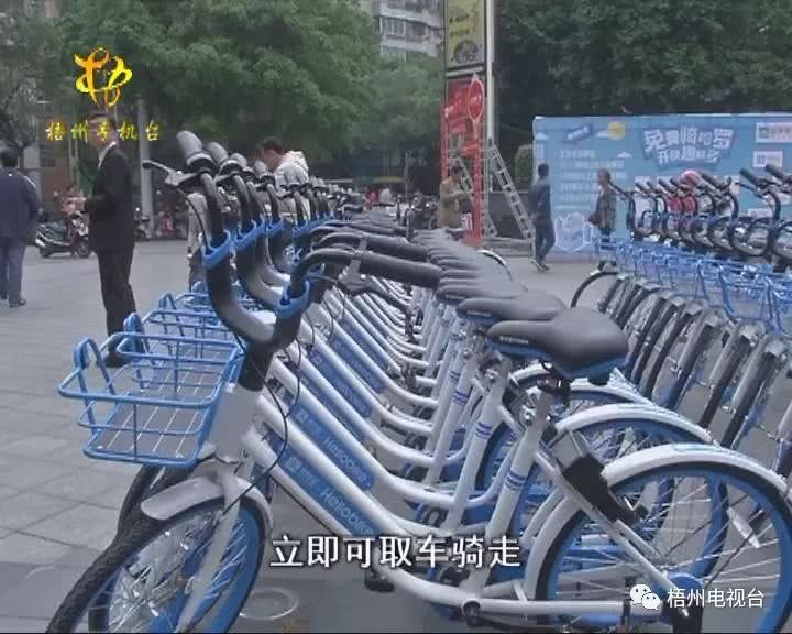 共享单车来梧州了?别急,来看看先!
