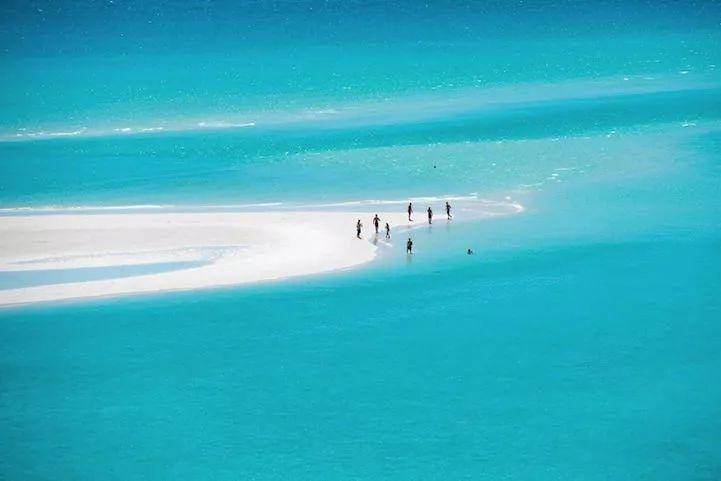 又到了中国吃货显身手的时候,澳洲海胆成灾,你