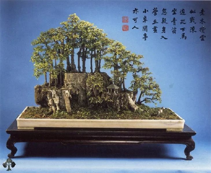 5.中国园林盆景