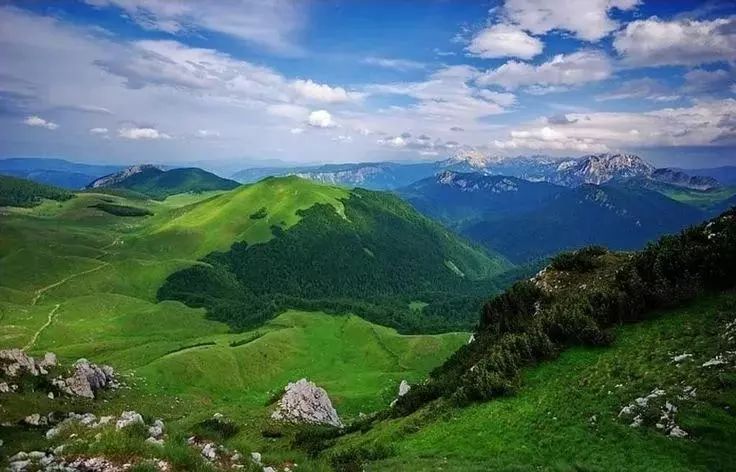 正文 苏捷斯卡河(sutjeska river)缓缓流过山谷横穿公园,还将