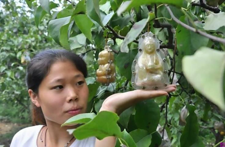 世界上5大奇特的水果, 就算你是土豪也不一定吃过, 让