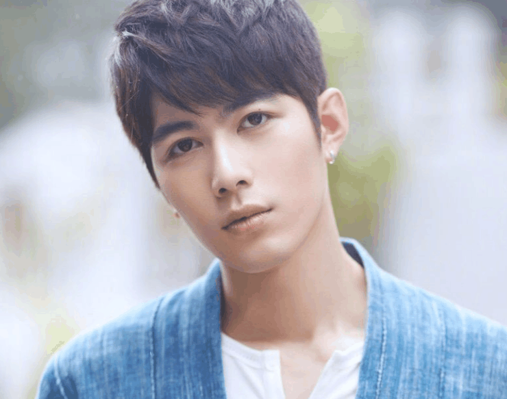 微博粉丝最高的八位90后男星, 黄子韬垫底, 第