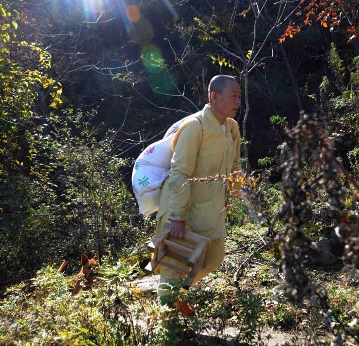 96岁农村老太隐居终南山,饿吃野果渴喝山泉,海