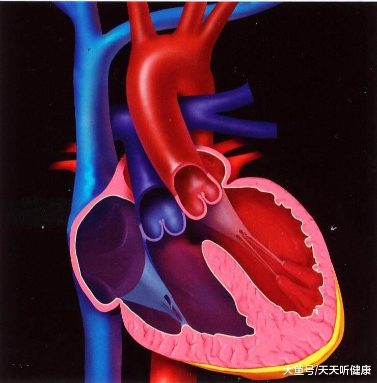 心电图报告窦性心律是啥意思? 正常还是不正常