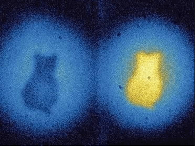 量子宇宙或真实存在,人类身边存在无数异世界