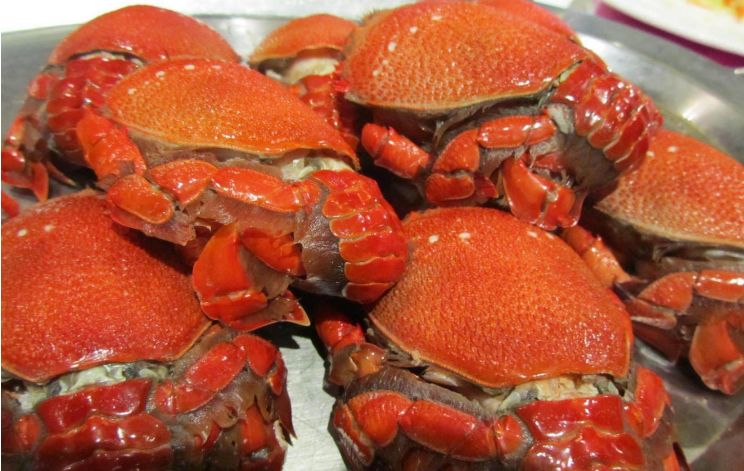 全球十大最顶级最贵的海鲜,只有一种来自中国