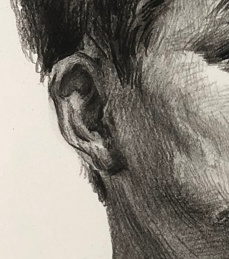第一五六集 男中年素描头像范画,步骤图及部分细节图