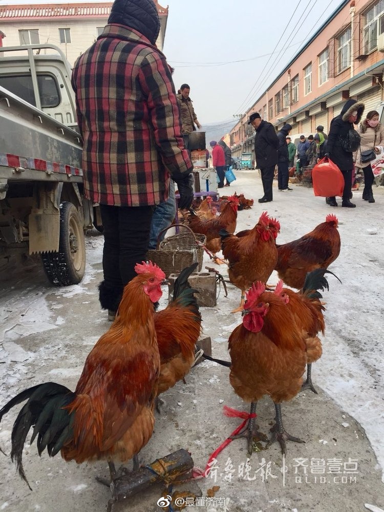 长清张夏大集,要啥有啥年味浓浓