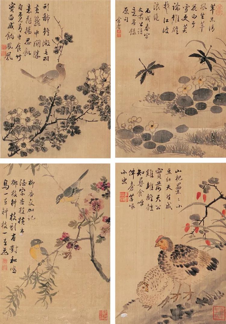清代画家余省国画花鸟作品|画家|花鸟|周鲲_新浪新闻